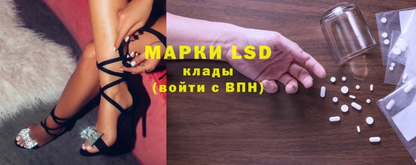 ПСИЛОЦИБИНОВЫЕ ГРИБЫ Новозыбков