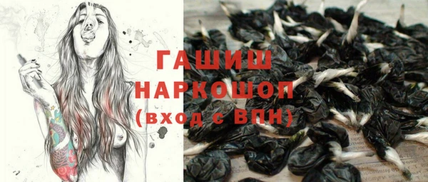 ПСИЛОЦИБИНОВЫЕ ГРИБЫ Новозыбков