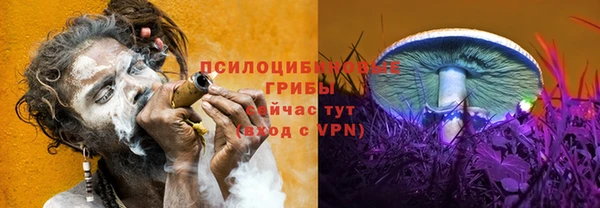 мефедрон мука Новодвинск